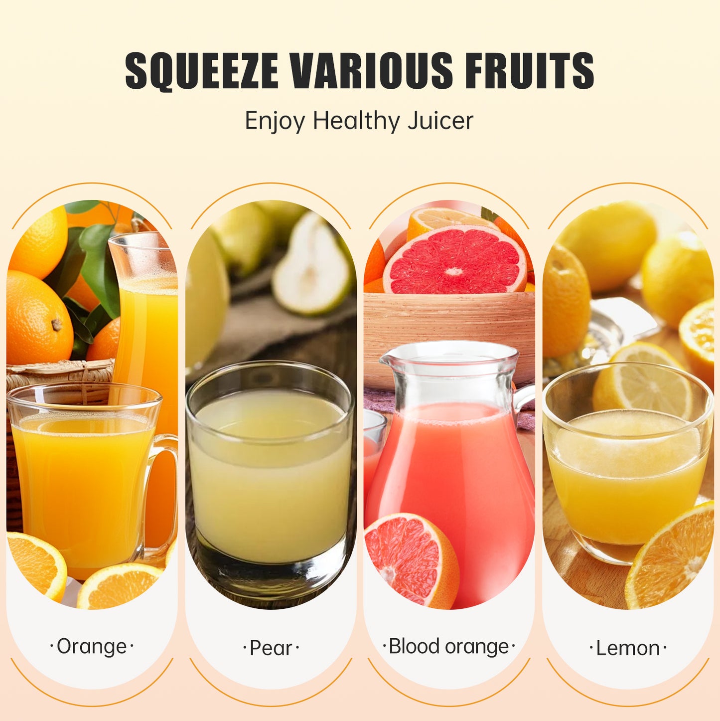 Kawu SJ-019 Juicer - Color Box