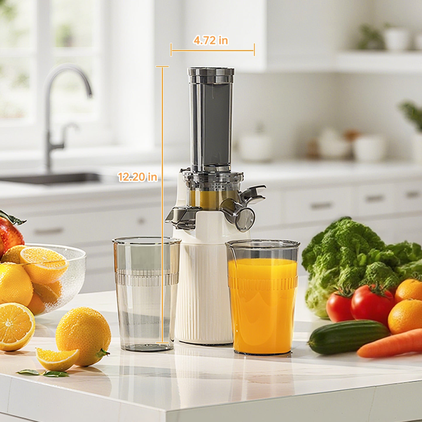 Kawu SJ-019 Juicer - Color Box