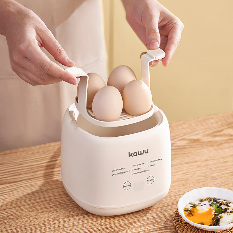 KaWu LG-806 Multi-Functional Electric Stew Pot With Steamer Basket