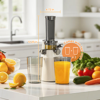 Kawu SJ-019 Juicer - Color Box