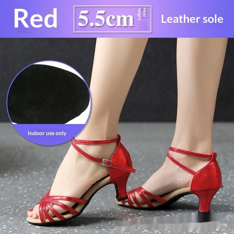 New Style Latin Dance Shoes For Women Square Dancing And Ballroom Dancing