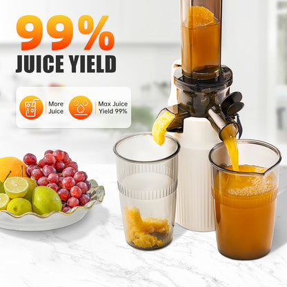 Kawu SJ-019 Juicer - Color Box